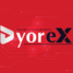 Dyorex Kripto Para Borsası Araştırma Uzmanları Cardano, Polygon Matic ve Apecoin’i Değerlendiriyor